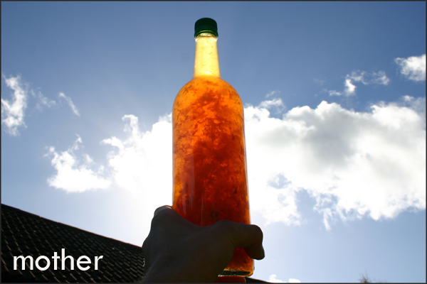Apple Cider Vinegar Mother